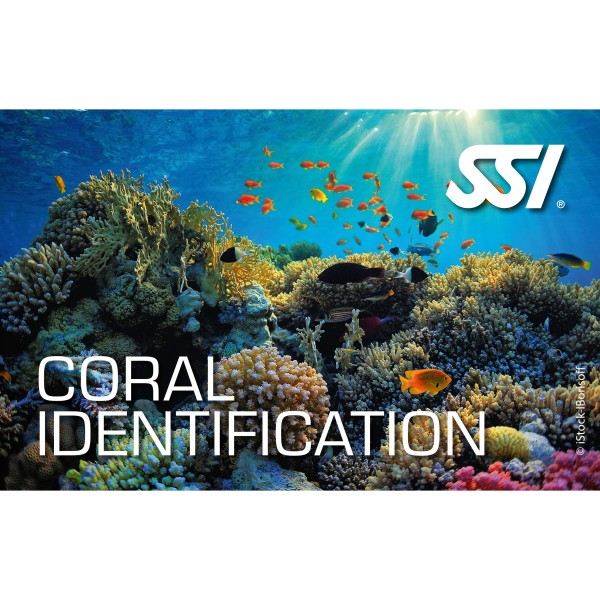 SSI Coral Identification Kit - digital, direkt zertifiziert durch divestore SSI Instructor