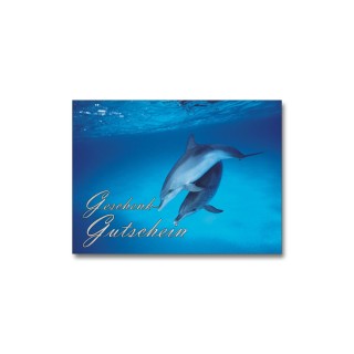 Divestore Geschenk - Gutschein 30 EUR - Sofortversand (PDF)