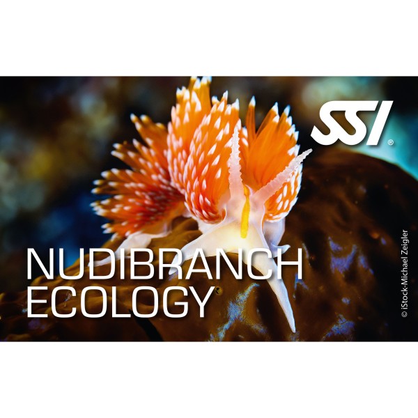 SSI Nudibranchs Kit - digital, direkt zertifiziert durch divestore SSI Instructor