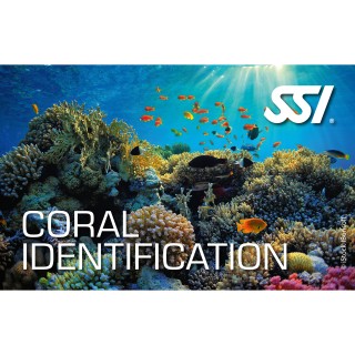 SSI Coral Identification Kit - digital, direkt zertifiziert durch divestore SSI Instructor