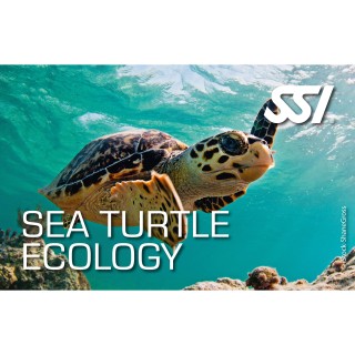 SSI Sea Turtle Ecology Kit - digital, direkt zertifiziert durch divestore SSI Instructor
