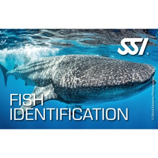 SSI Fish Identification Kit - digital, direkt zertifiziert durch divestore SSI Instructor