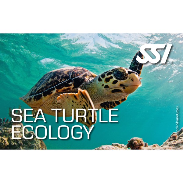 SSI Sea Turtle Ecology Kit - digital, direkt zertifiziert durch divestore SSI Instructor